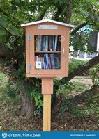 little free community library 